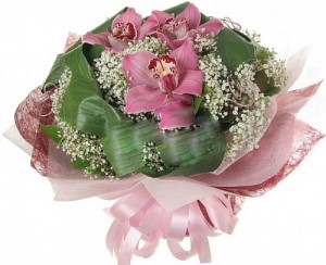 ����� �� ������� infrus.ru