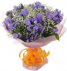 ����� �� ������ infrus.ru