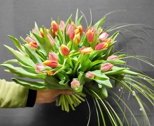 ����� �� ��������� infrus.ru