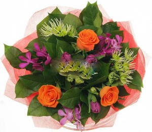����� ������� infrus.ru
