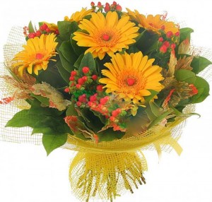 ����� �� ������ infrus.ru