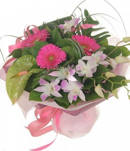 ����� ������� infrus.ru