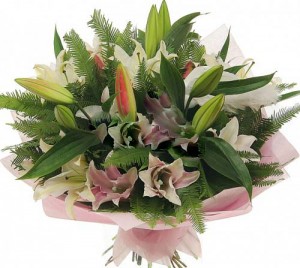 ����� �� ����� infrus.ru