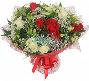 ����� ������� infrus.ru