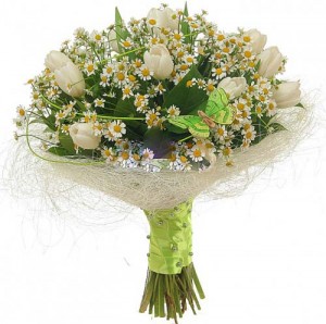 ����� ������� infrus.ru