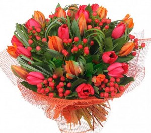 ����� �� ��������� infrus.ru