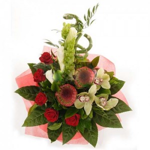 ����� ������� infrus.ru