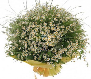 ����� �� ������� infrus.ru