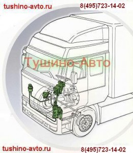 ������ ���, Tushino-Avto infrus.ru