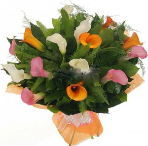 ����� �� ���� infrus.ru