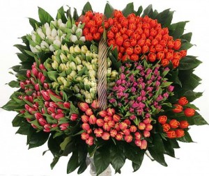������� �� ��������� infrus.ru