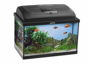 �������� ���� ���� ������ 35 infrus.ru