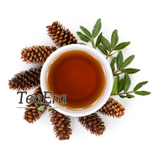 ������ ����� � ��������� �������� infrus.ru