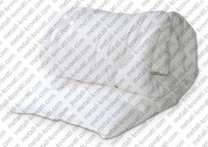 ������ ����������� ��-1� infrus.ru