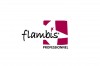 ������� ����� ������� FLAMBIS